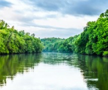 照片的阿巴拉契科拉查塔胡奇弗林特河流域，绿色的树木