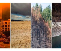 四幅图片包括火灾，风暴云，松树，低潮