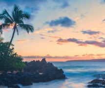 日落时分海滩上的棕榈树